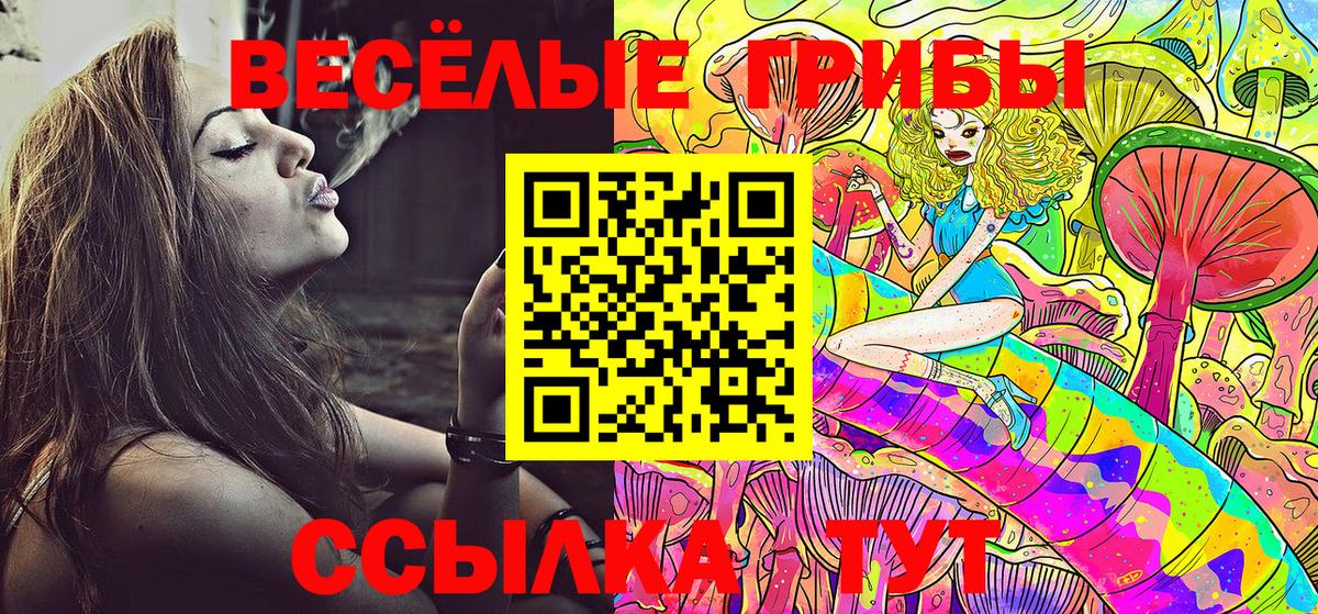 Псилоцибиновые грибы Cubensis Ликино-Дулёво